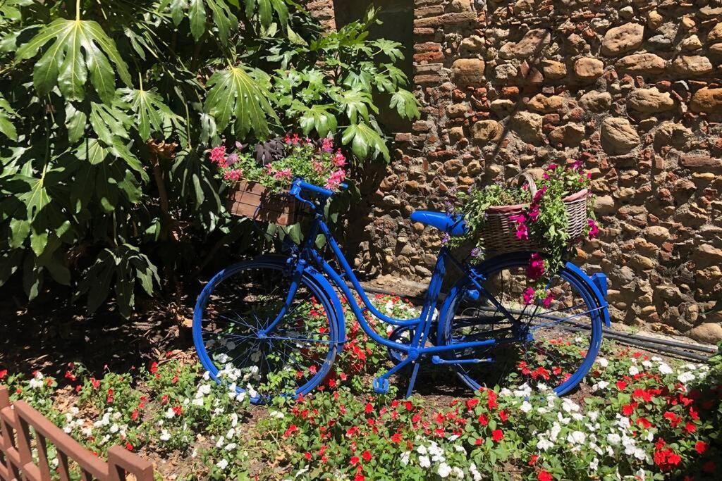 Villa Carrer Del Sol Sainte-Marie-la-Mer Esterno foto